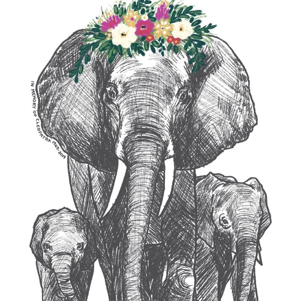 Meet your Posher, Julia